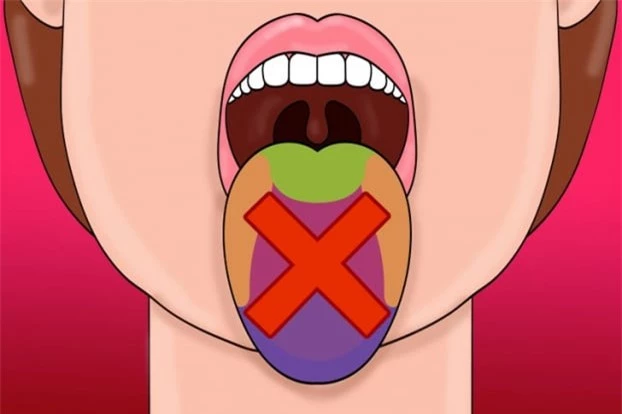 8 sự thật thú vị về lưỡi không phải ai cũng biết 4
