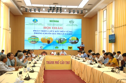 Định vị vai trò thương lái trong chuỗi ngành hàng lúa gạo