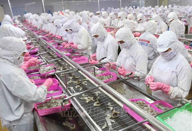 Xuất siêu nông lâm thủy sản tăng 71,5%