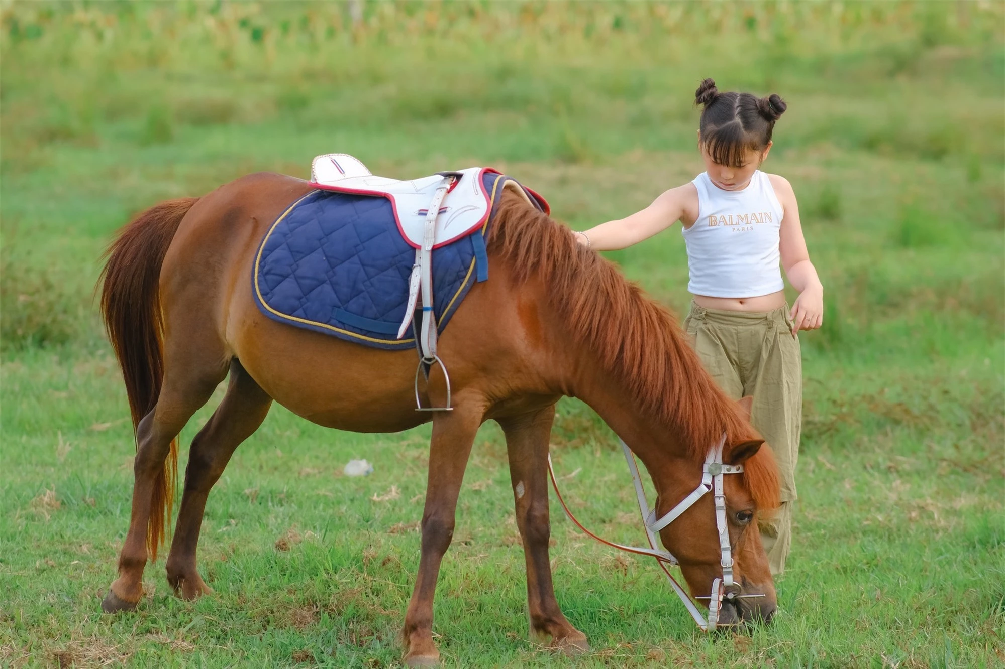 Bé gái 9 tuổi cưỡi ngựa phi nước đại, thần thái khiến người xem không thể rời mắt - Ảnh 1.