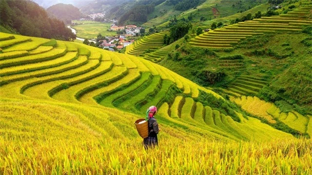 Việt Nam là một trong những điểm đến du lịch tốt nhất thế giới năm 2024 - Ảnh 1.