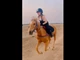 Clip: Bé gái 9 tuổi cưỡi ngựa phi nước đại, thần thái khiến người xem không thể rời mắt