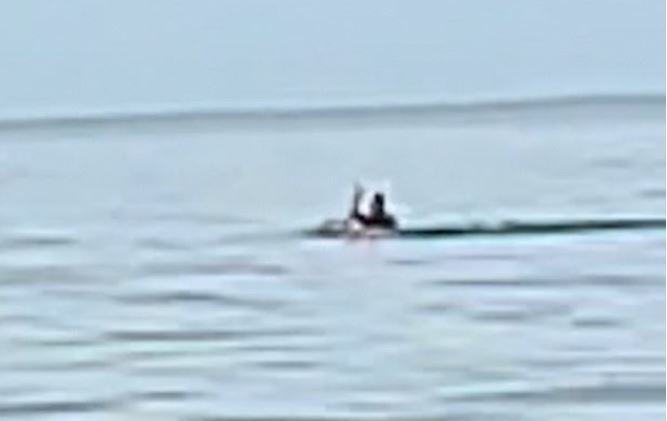 Ho&#x1EA3;ng h&#x1ED3;n khi ch&#x1EE9;ng ki&#x1EBF;n kho&#x1EA3;nh kh&#x1EAF;c m&#x1ED9;t ng&#x1B0;&#x1EDD;i &#x111;&#xE0;n &#xF4;ng b&#x1ECB; qu&#xE1;i v&#x1EAD;t b&#xED; &#x1EA9;n &#x27;nu&#x1ED1;t ch&#x1EED;ng&#x27; tr&#xEA;n m&#x1EB7;t bi&#x1EC3;n