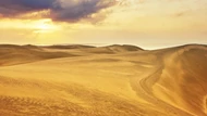 Những sự thật thú vị về sa mạc Sahara