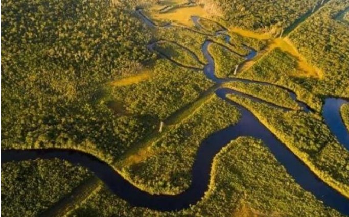 Rừng mưa nhiệt đới nhìn như thiên đường xanh tươi nhưng thực chất lại là vùng cấm địa của con người, nó đáng sợ đến mức nào?