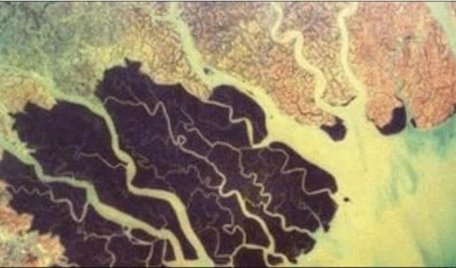 Sông Hằng nguyên thủy ở Ấn Độ bị ô nhiễm nghiêm trọng, sao có thể tạo ra vùng châu thổ cửa sông lớn nhất thế giới?