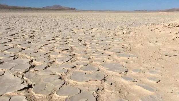 Xuất hiện sinh vật như ngoài hành tinh dưới "tử địa" Trái Đất