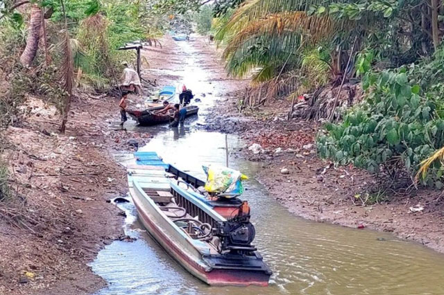 Cô lập carbon bằng phương pháp sinh học để ứng phó với xâm nhập mặn và nước biển dâng ở ĐBSCL