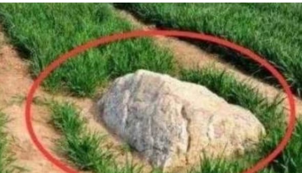 Ngọn núi nhỏ nhất thế giới, chỉ 0,6 mét nhưng không ai dám leo lên! Tại sao thế này?