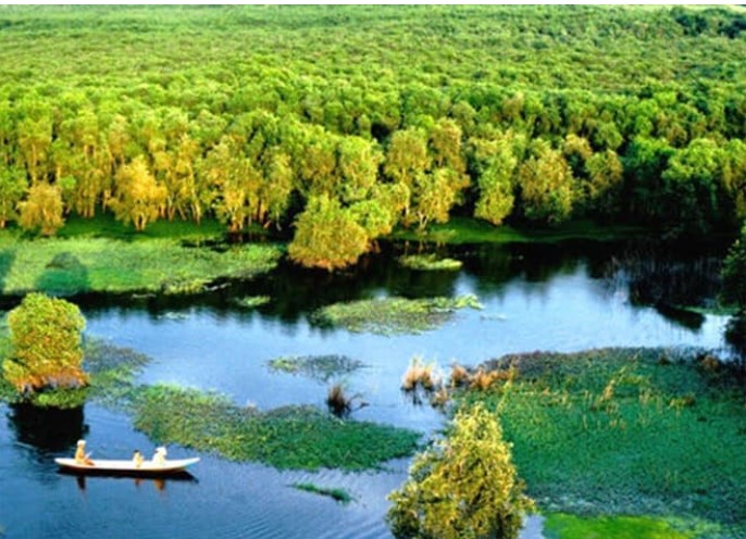 Khu rừng ở Việt Nam được thế giới xếp hạng quý hiếm, nhiều lần xuất hiện trên phim