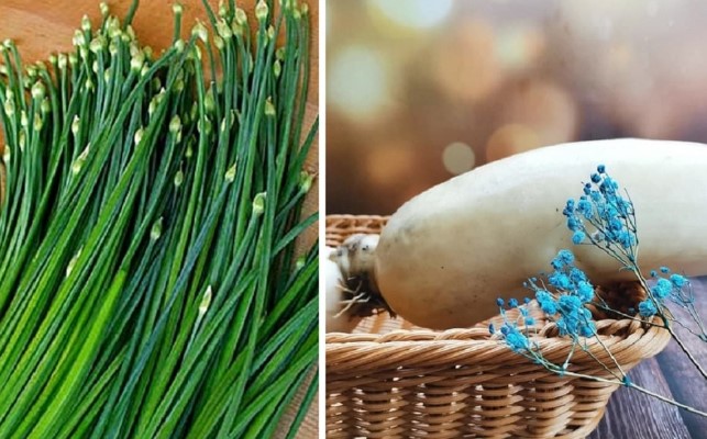 Các cụ dạy: 'Nam không thể thiếu rau hẹ, nữ không thể thiếu ngó sen'. Vì sao lại như vậy?