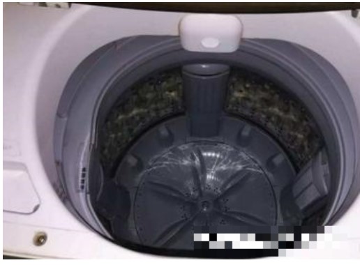 Hóa ra bên trong máy giặt cũng bẩn như bồn cầu! Sử dụng phương pháp này để làm sạch, 2 - 3 lần/tháng