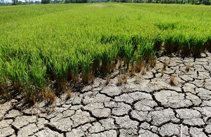 Xâm nhập mặn sẽ duy trì ở mức cao đến giữa tháng 5 sau đó sẽ có xu thế giảm dần