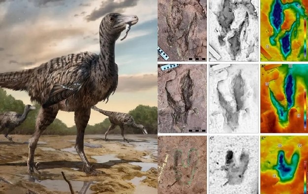 Kinh hoàng quái điểu lai khủng long cao 5 m ở Trung Quốc