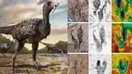 Kinh hoàng quái điểu lai khủng long cao 5 m ở Trung Quốc