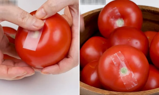 Bảo quản cà chua theo cách này, không cần để tủ lạnh mà vẫn tươi lâu, giữ nguyên hương vị