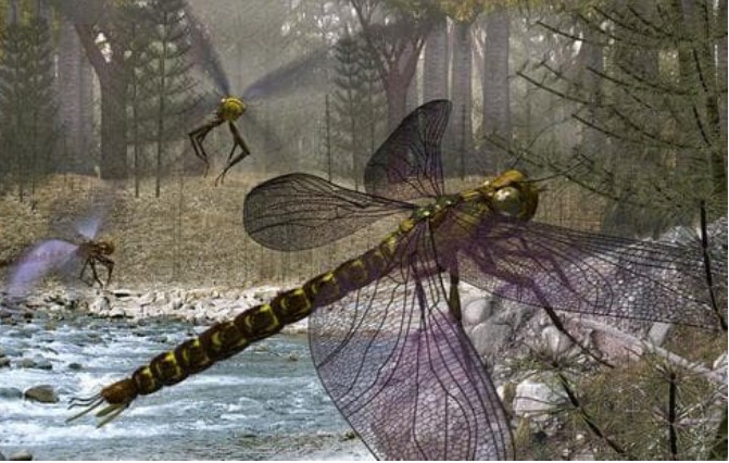 Tại sao động vật thời tiền sử to lớn, động vật hiện nay ngày càng nhỏ bé? Hóa ra trái đất không cho phép