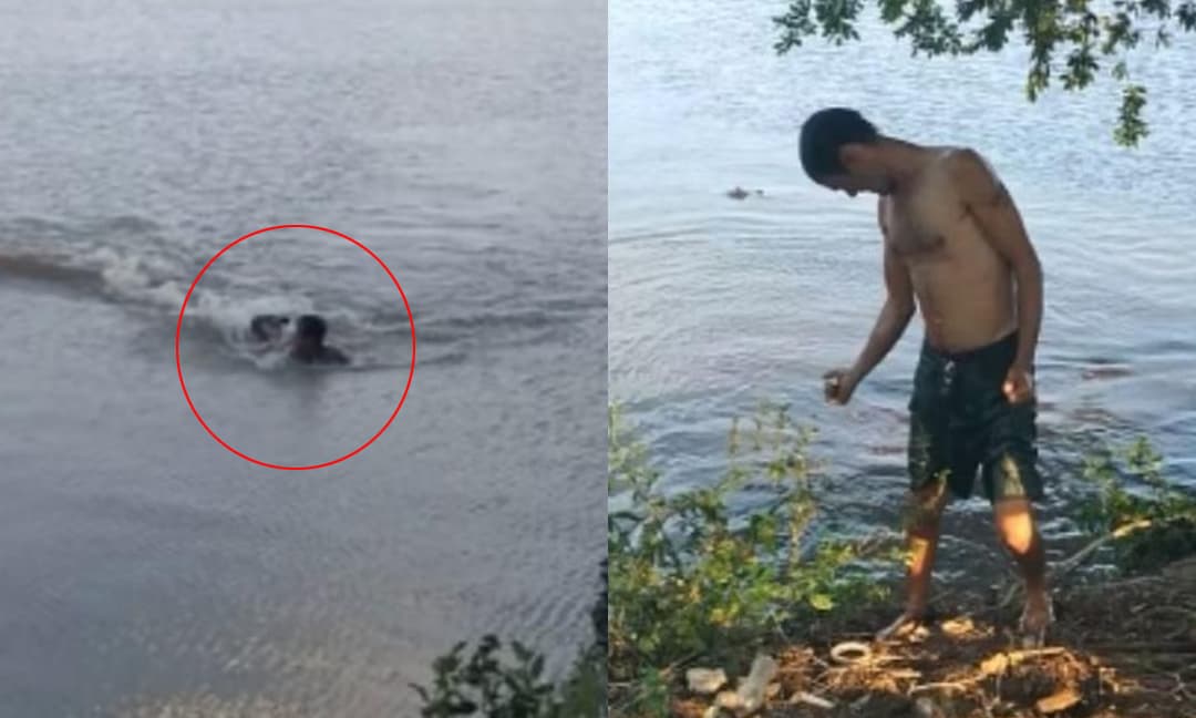 Bất chấp cảnh báo vẫn nhảy xuống hồ bơi, người đàn ông bị cá sấu truy đuổi rồi tấn công kinh hoàng