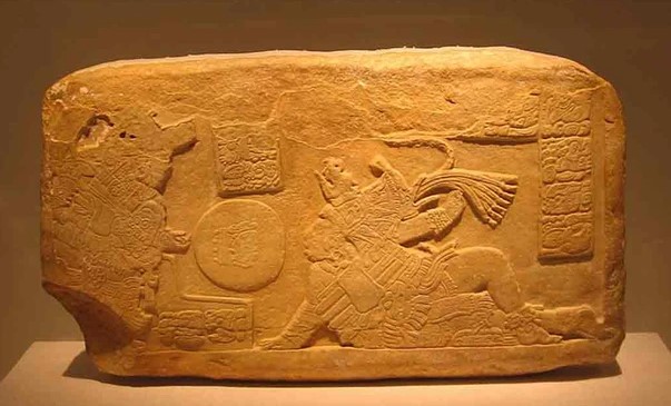 Phát hiện ma dược Maya gây ảo giác ở nơi bất ngờ nhất