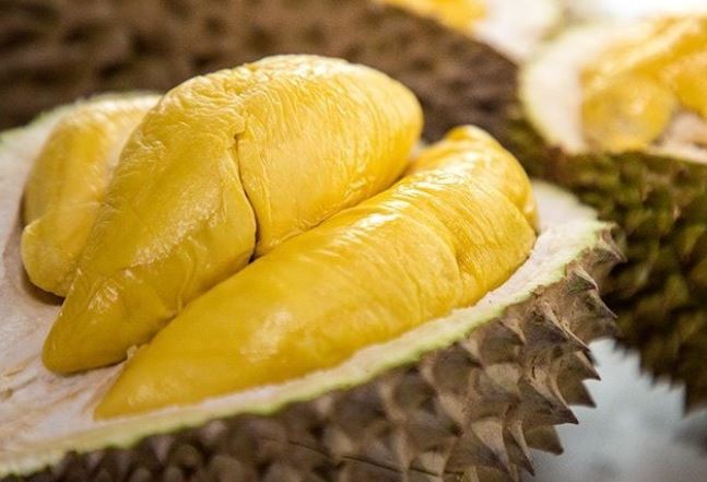 Nếu bạn ăn sầu riêng mỗi ngày, sau một thời gian điều gì sẽ xảy ra?