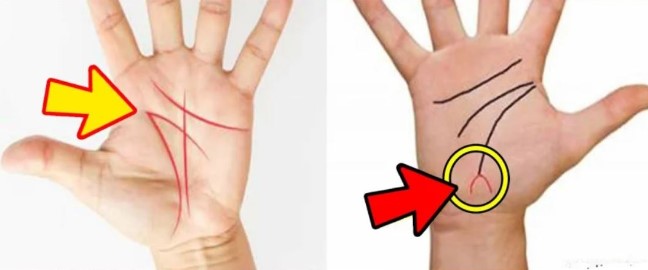 7 đường chỉ tay dự báo chủ nhân đặc biệt, không tỉ phú cũng đại gia: May mắn lắm mới có