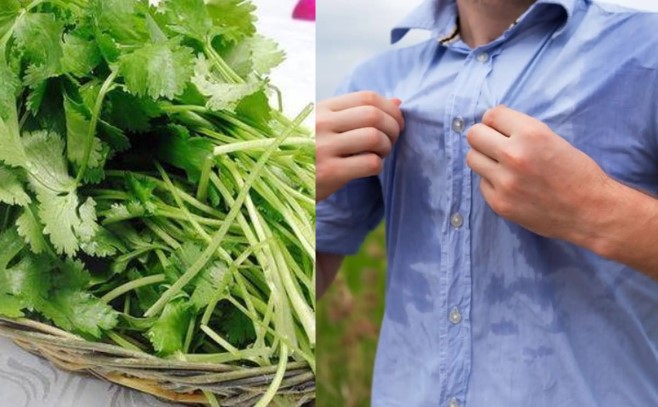 4 nhóm người không nên ăn rau mùi: Đặc biệt là những người có mùi cơ thể, lý do là vì điều này!