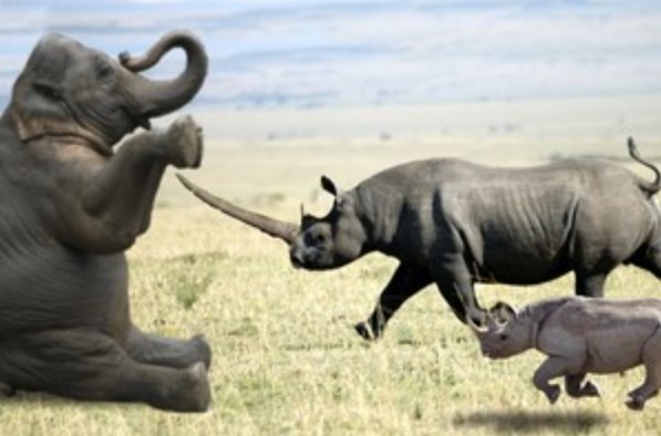 Clip: Trận chiến của những sinh vật khổng lồ