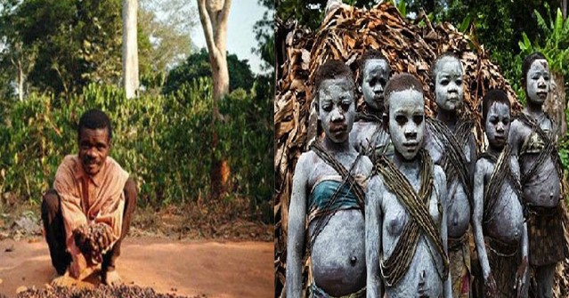 Bộ tộc lùn nhất thế giới, cao nhất chỉ 1m5, 8 tuổi đã có thể sinh con nhưng tuyệt đối giữ 1 nguyên tắc này?