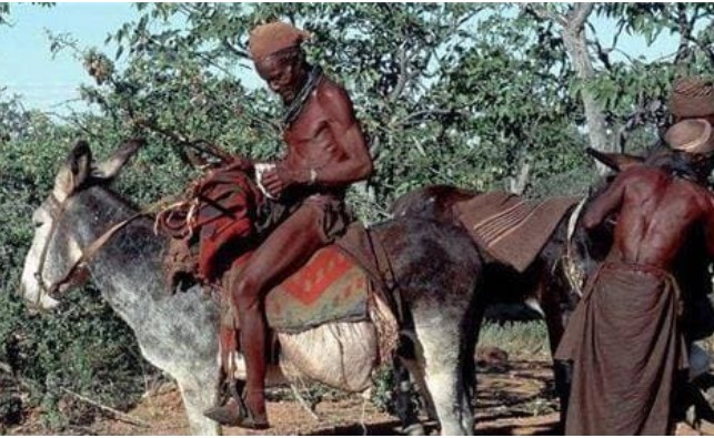 Tại sao người châu Phi không bao giờ bị muỗi đốt? Muỗi đậu khắp người mà không cắn? Hóa ra là dùng phương pháp này