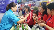 Đà Nẵng: Thúc đẩy ứng dụng thương mại điện tử tại chợ truyền thống