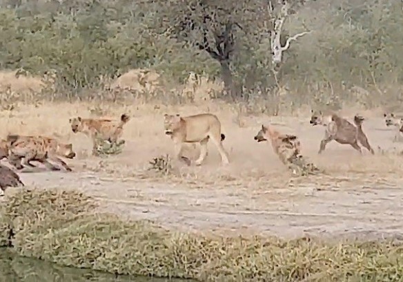 Clip: Âm mưu lật đổ nhà vua và cái kết bất ngờ cho những kẻ "táo tợn"