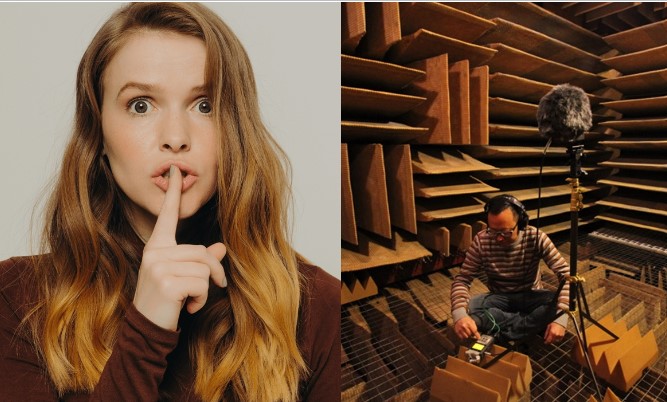 Nơi yên tĩnh nhất trên thế giới: Không ai chịu quá được 1 tiếng, nghe được cả nội tạng kêu