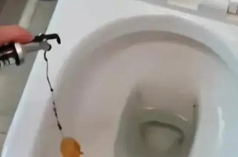 Nhỏ một chút nước tương vào bồn cầu sẽ có tác dụng lợi hại, tiếc là nhiều người không hiểu