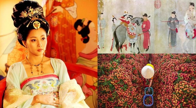 Việt Nam có 1 loại quả Dương Quý Phi thích mê nhưng Trung Quốc không trồng nổi, xưa chỉ vua chúa mới được ăn