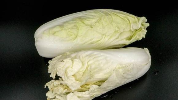 Khi mua cải thảo, nên chọn mua “lá vàng” hay “lá xanh”? Cuối cùng tôi cũng hiểu