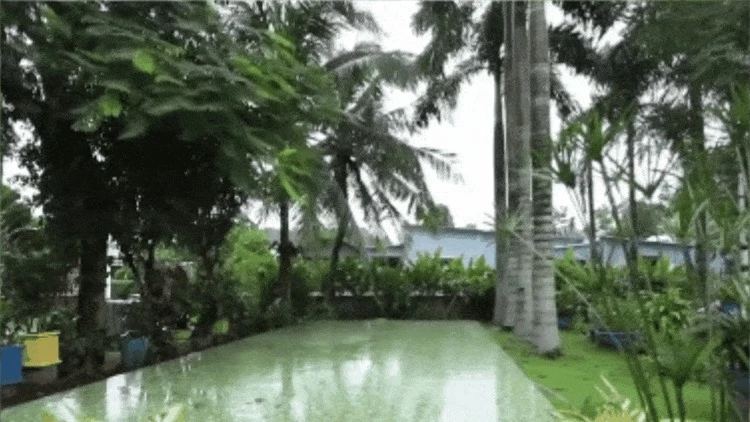 "Nam thần" đại gia ngầm của showbiz Việt: Sở hữu nhà vườn rộng hơn 3000 m2, tuổi 46 vẫn độc thân đắt giá- Ảnh 3.