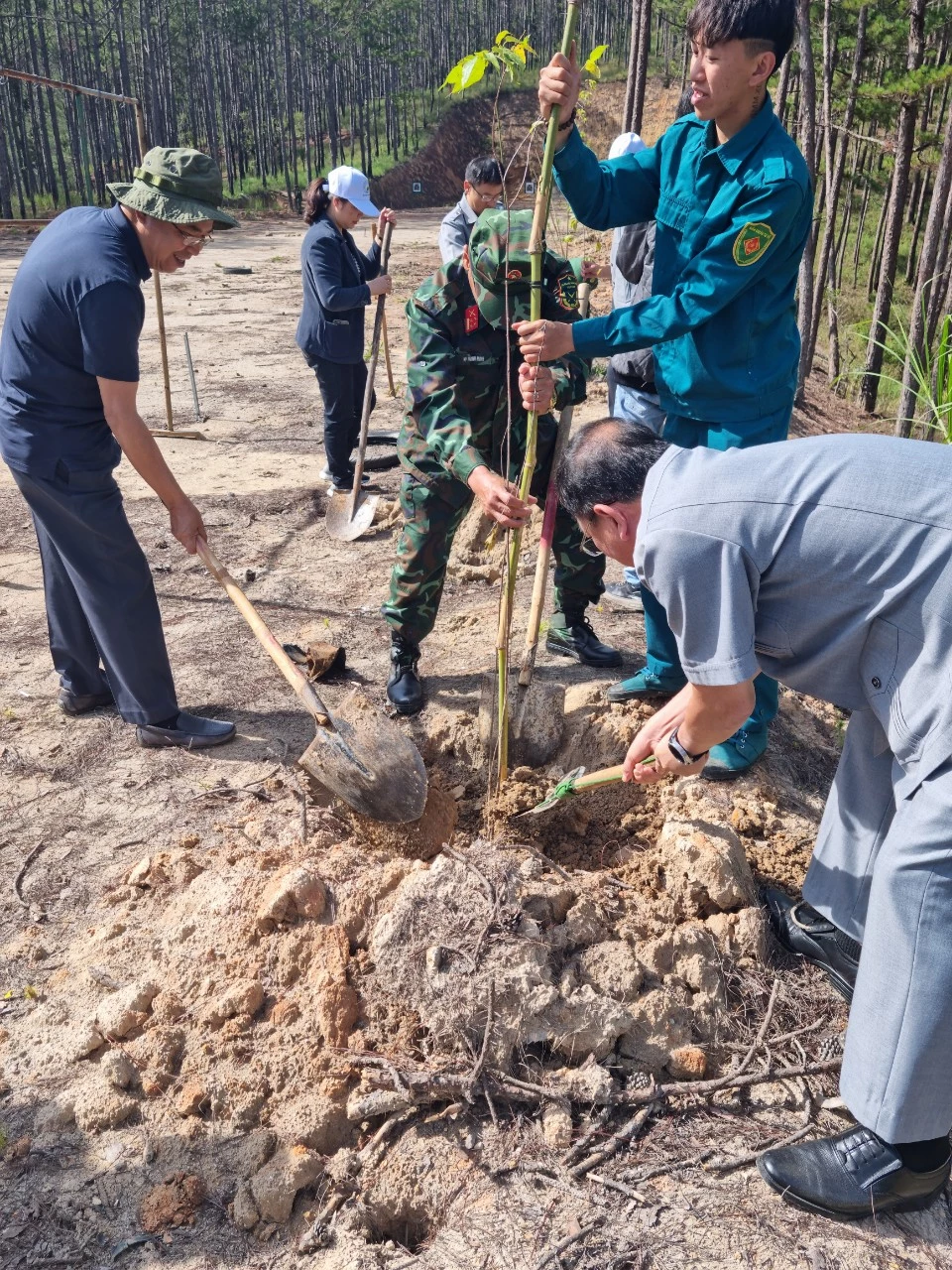 Lãnh đạo sở ngành, UBND TP Đà Lạt và lực lượng vũ trang trồng mai anh đào tại lễ phát động