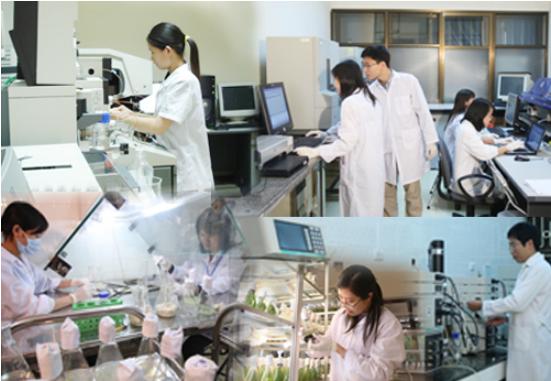 Đề xuất quy định đánh giá, nghiệm thu kết quả thực hiện nhiệm vụ KH&CN cấp quốc gia