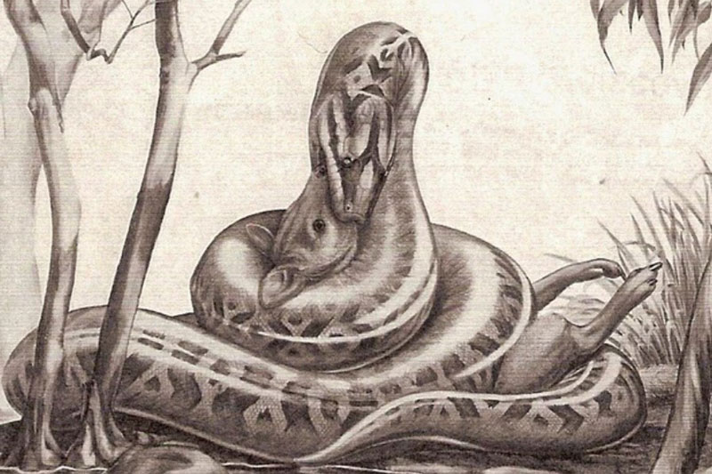 Loài động vật cổ đại nào đáng sợ nhất nếu còn tồn tại đến ngày nay?