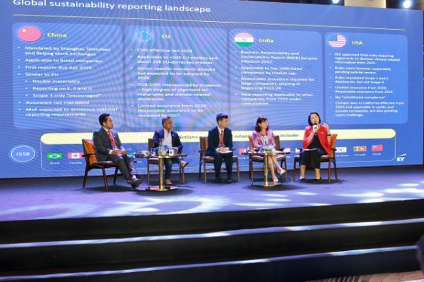 Cân bằng hoạt động chuyển đổi "kép" để phát triển bền vững