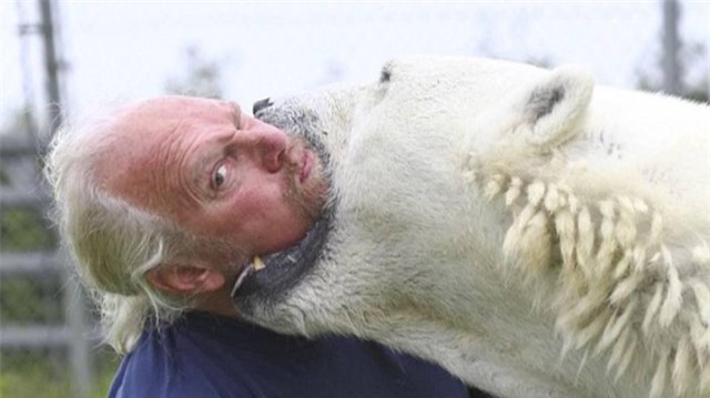 Thậm chí còn dí cả mặt vào hàm răng của con gấu. Thậm chí còn dí cả mặt vào hàm răng của con gấu.