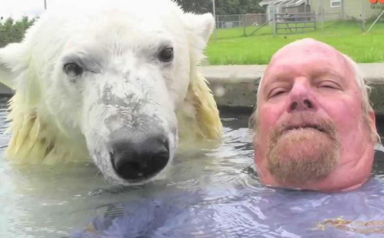 Người đàn ông duy nhất trên thế giới đủ "dũng khí" tắm chung cùng gấu Bắc Cực