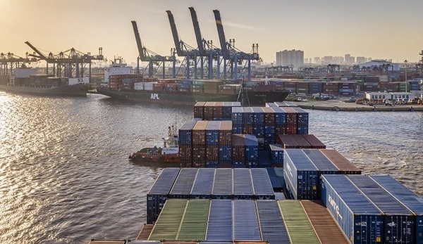 Chuyển đổi số trong logistics ở Việt Nam gặp khó nhiều bề