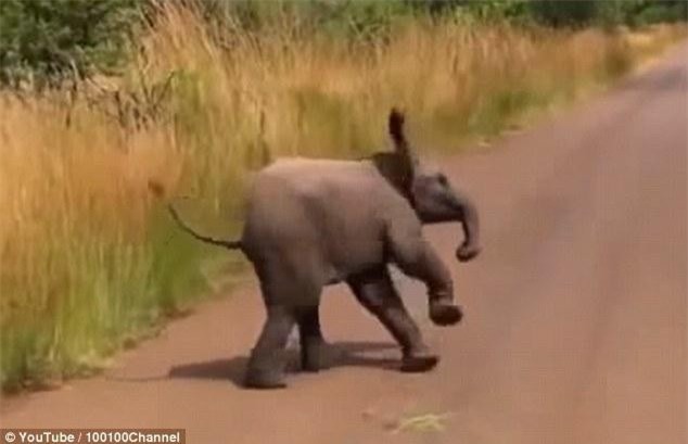 Nhưng mà người ta chưa kịp sợ thì bản thân mình đã sợ trước...