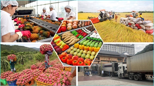 Nông lâm thủy sản xuất siêu 6,53 tỷ USD trong 5 tháng đầu năm