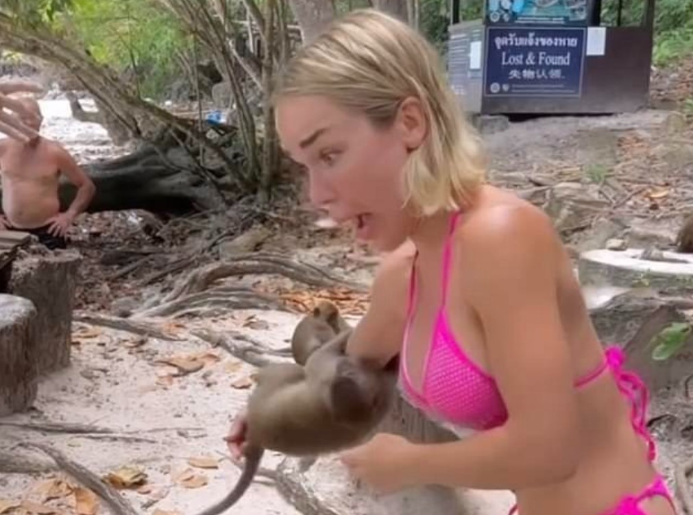 Mặc gợi cảm đi ra đảo, người mẫu nổi tiếng phải nhập viện sau khi chơi đùa với khỉ