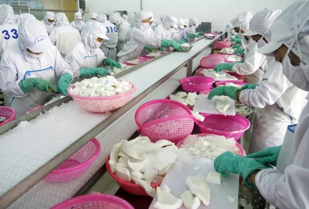 Xuất khẩu vào Mỹ: Linh hoạt nắm bắt cơ hội, thận trọng tránh rủi ro