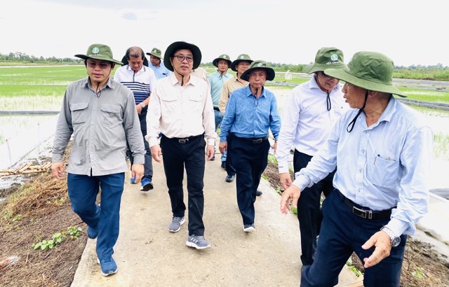 Đoàn công tác Campuchia đến ĐBSCL tham quan mô hình sản xuất lúa thông minh