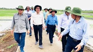 Đoàn công tác Campuchia đến ĐBSCL tham quan mô hình sản xuất lúa thông minh