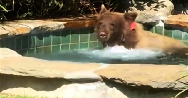 Tắm bể sục nóng thông thạo như đã biết từ lâu. Tắm bể sục nóng thông thạo như đã biết từ lâu.